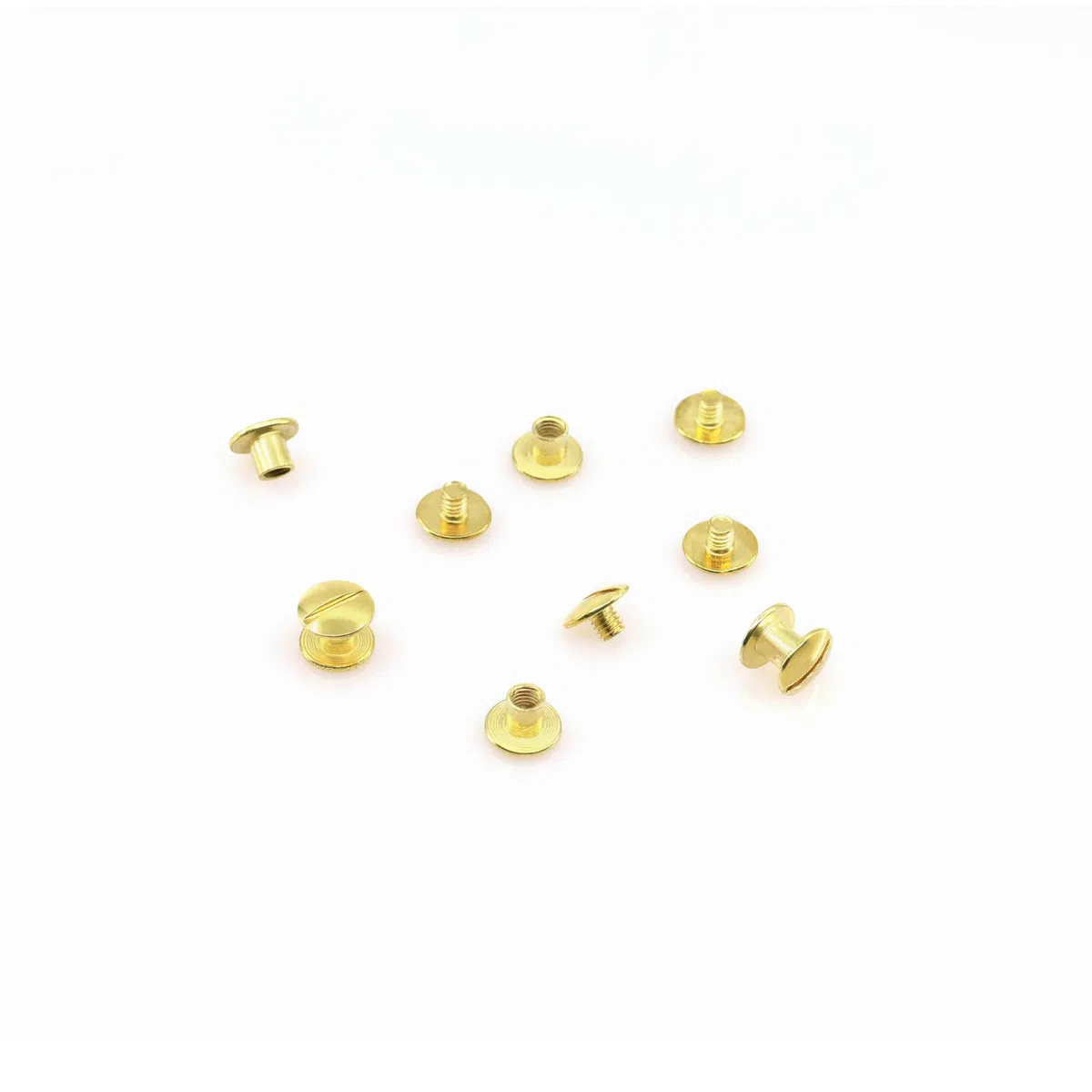 Viti per rilegatura | Viti per libri, menu, brochure | Viti per cintura | Rivetti per libri da avvitare (in ottone cromato, 2 mm | 20 pz)